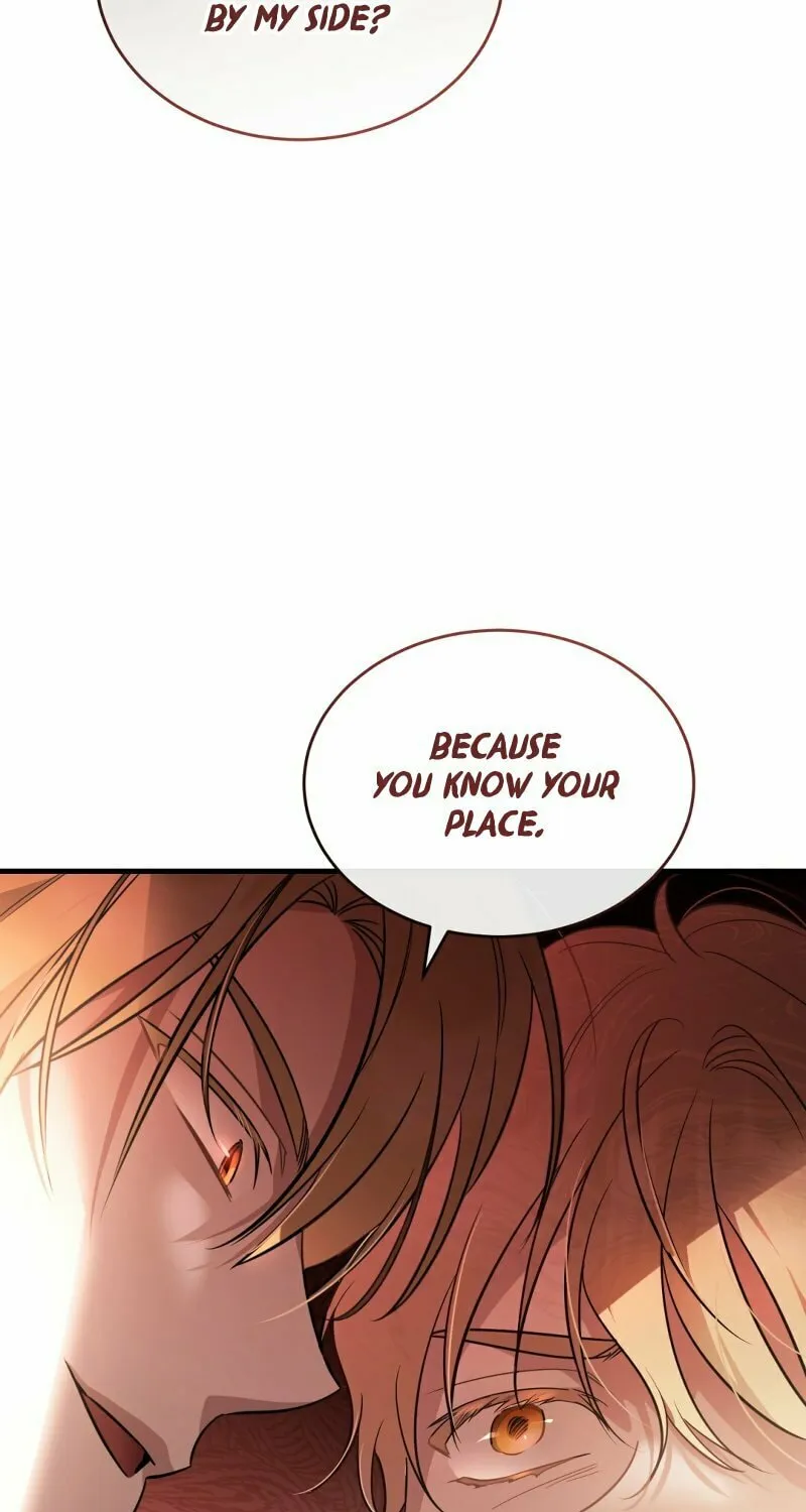 The Night Without Shadows Chapter 39 page 68 - 
