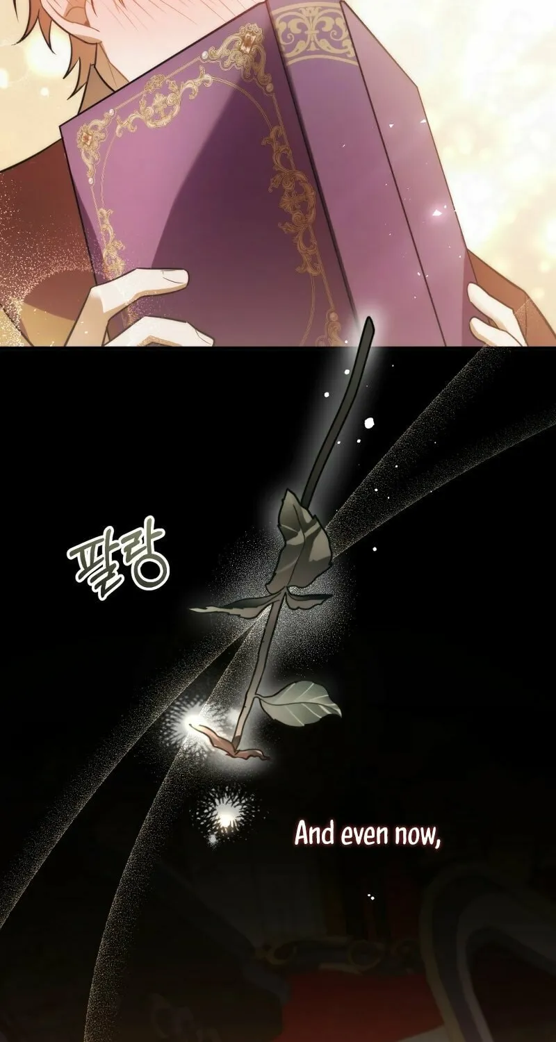 The Night Without Shadows Chapter 39 page 81 - 