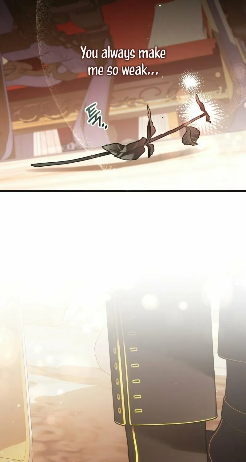 The Night Without Shadows Chapter 39 page 82 - 