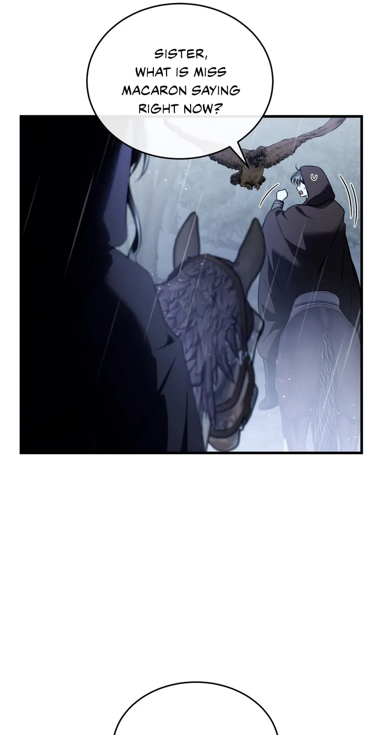 The Night Without Shadows Chapter 40 page 42 - 