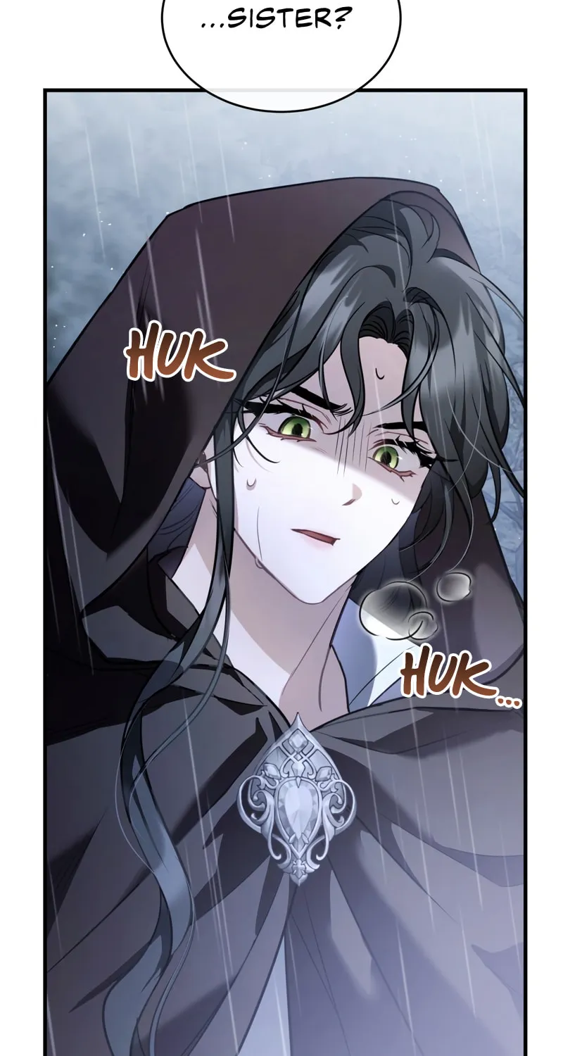 The Night Without Shadows Chapter 40 page 43 - 