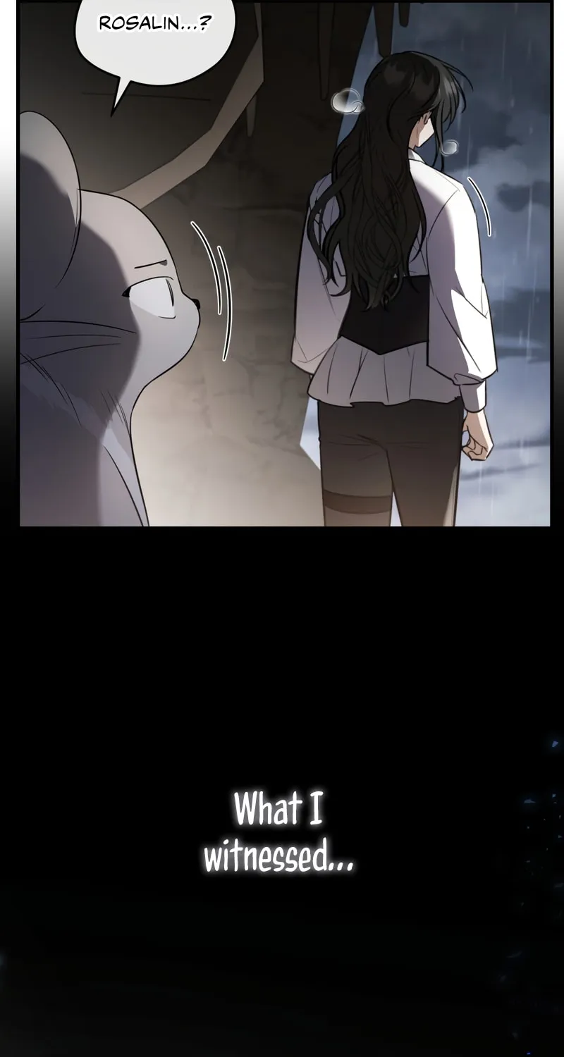 The Night Without Shadows Chapter 40 page 73 - 