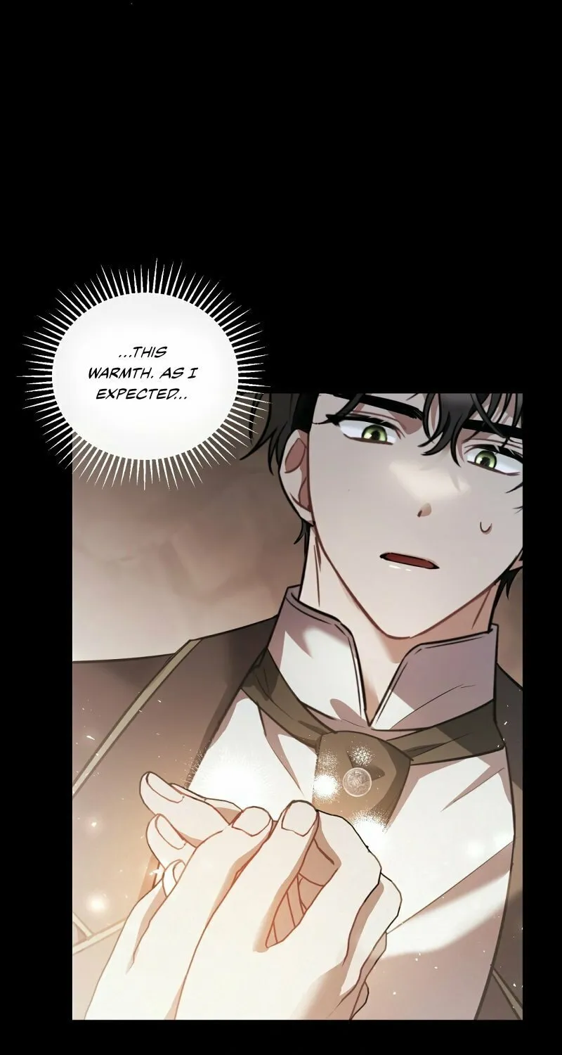 The Night Without Shadows Chapter 41 page 12 - 