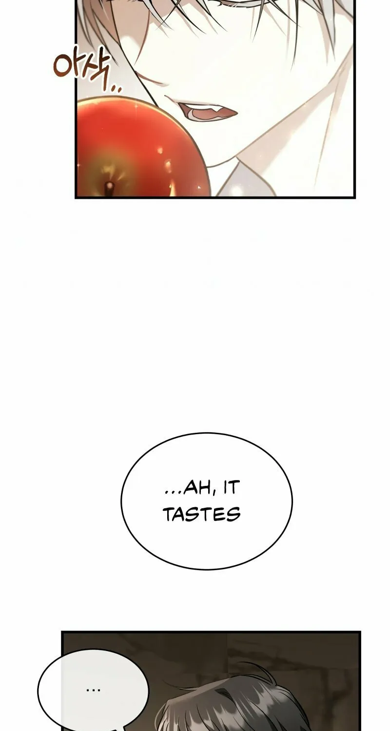 The Night Without Shadows Chapter 41 page 36 - 
