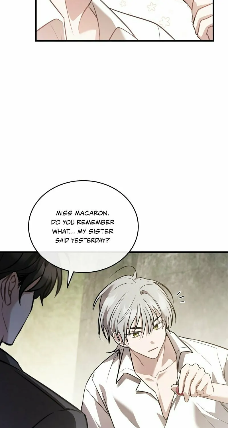 The Night Without Shadows Chapter 41 page 44 - 