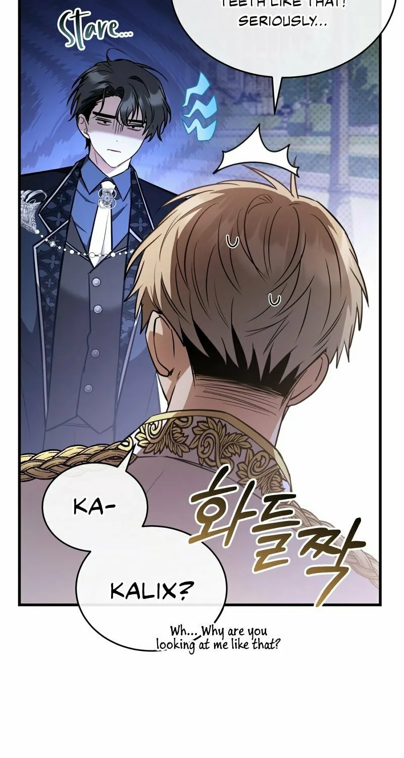 The Night Without Shadows Chapter 41 page 73 - 
