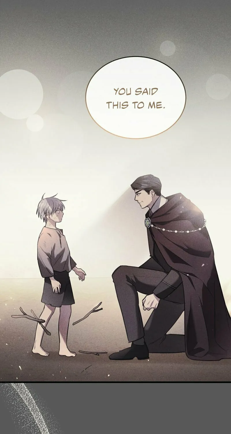 The Night Without Shadows Chapter 45 page 14 - 