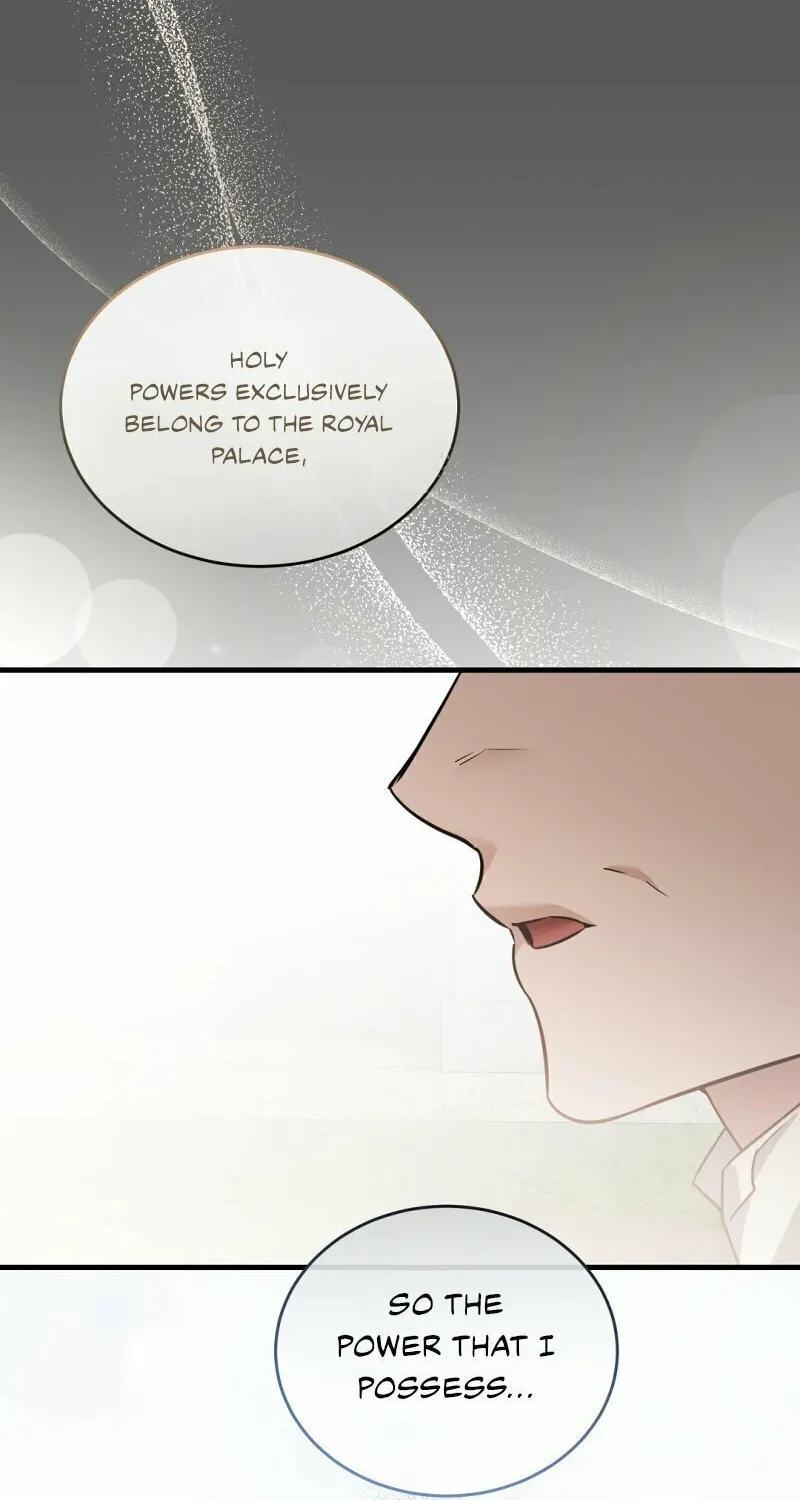 The Night Without Shadows Chapter 45 page 15 - 