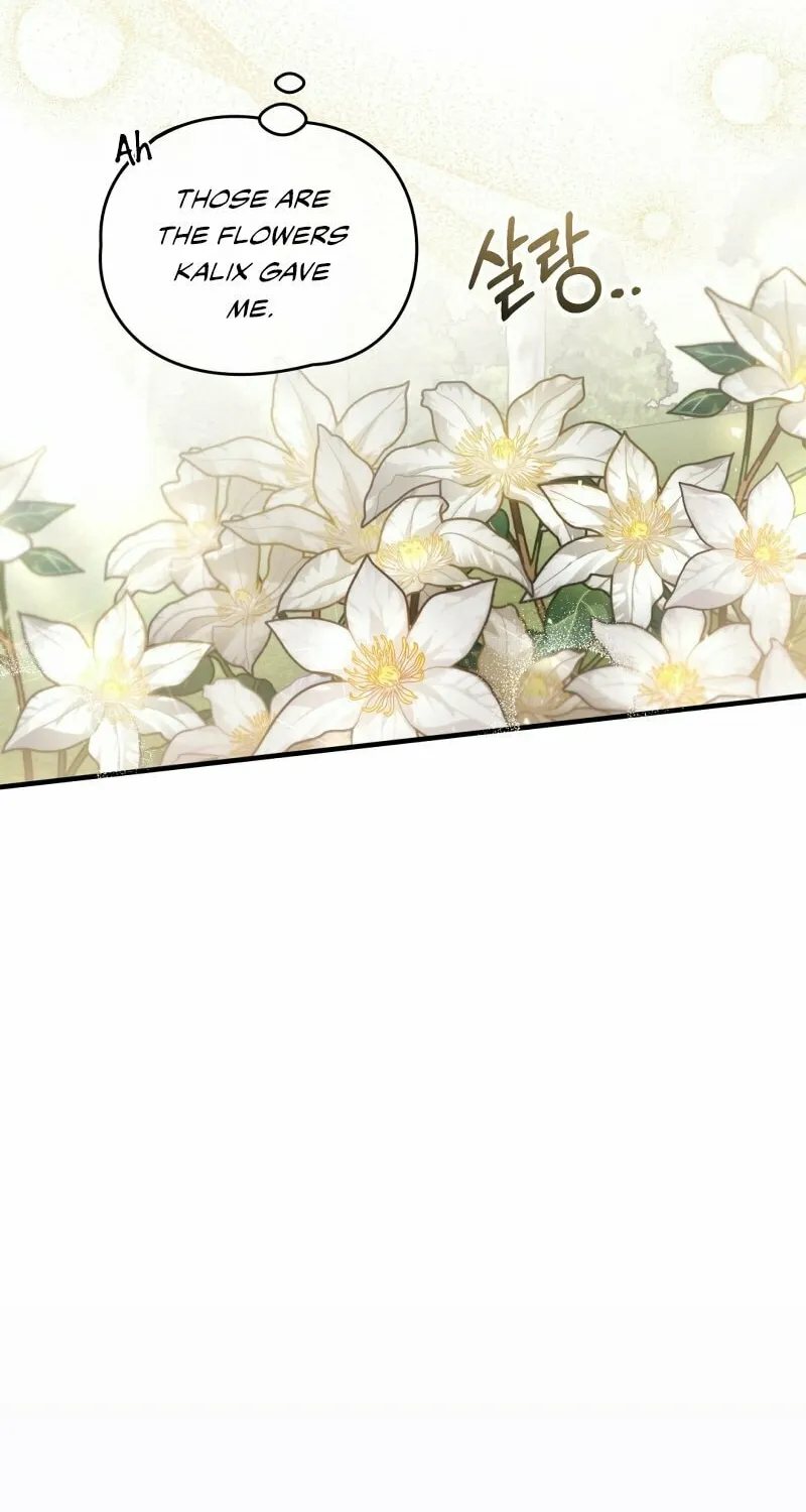 The Night Without Shadows Chapter 45 page 44 - 