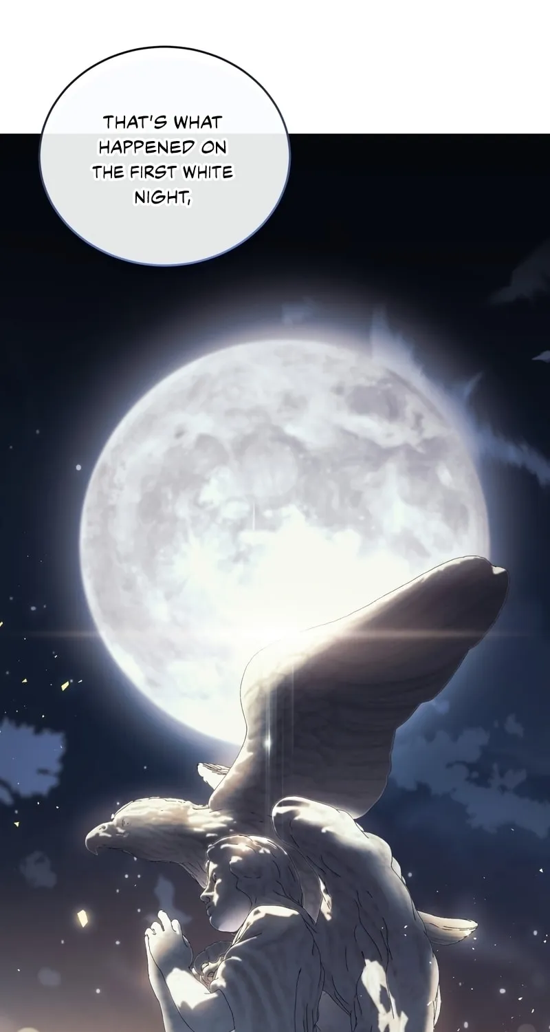 The Night Without Shadows Chapter 47 page 23 - 