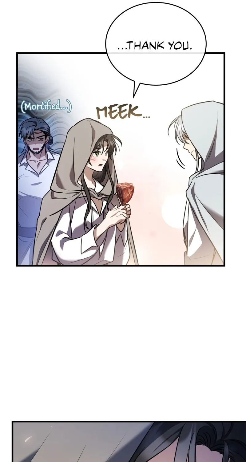 The Night Without Shadows Chapter 47 page 42 - 
