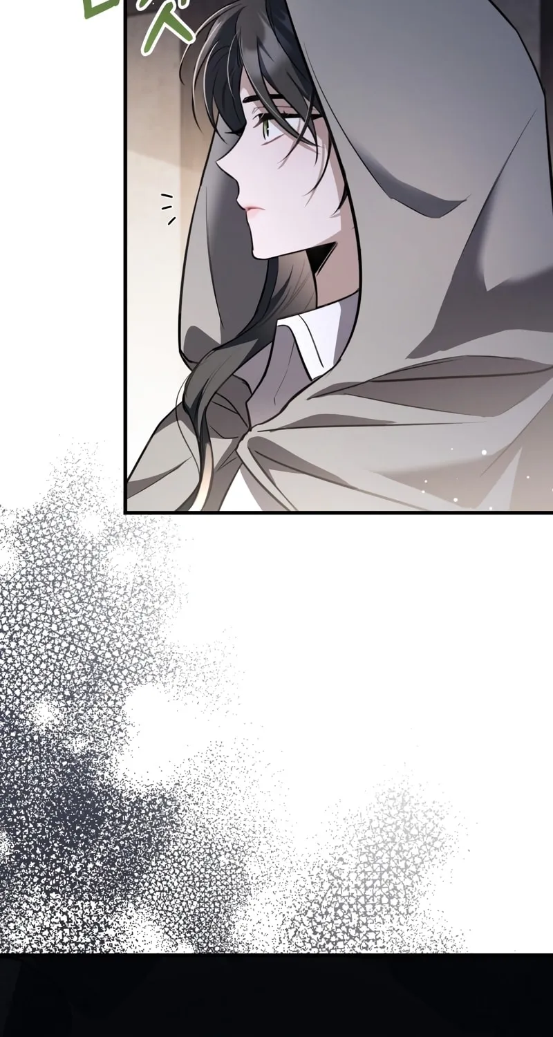 The Night Without Shadows Chapter 47 page 68 - 