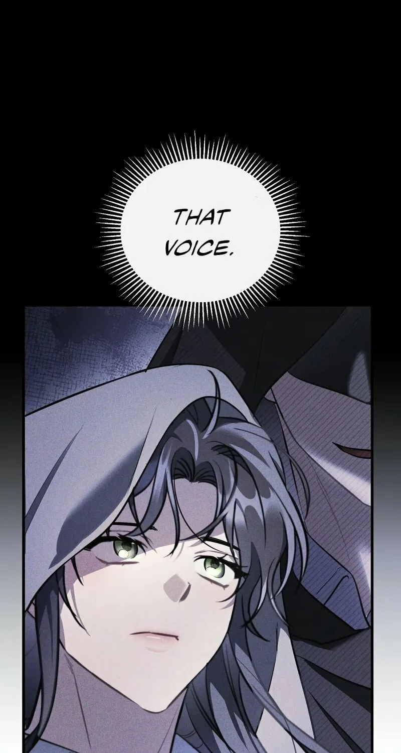 The Night Without Shadows Chapter 48 page 2 - 
