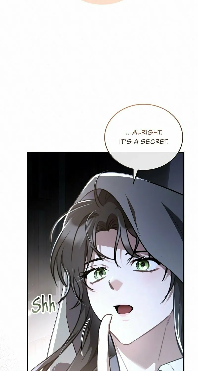 The Night Without Shadows Chapter 48 page 30 - 