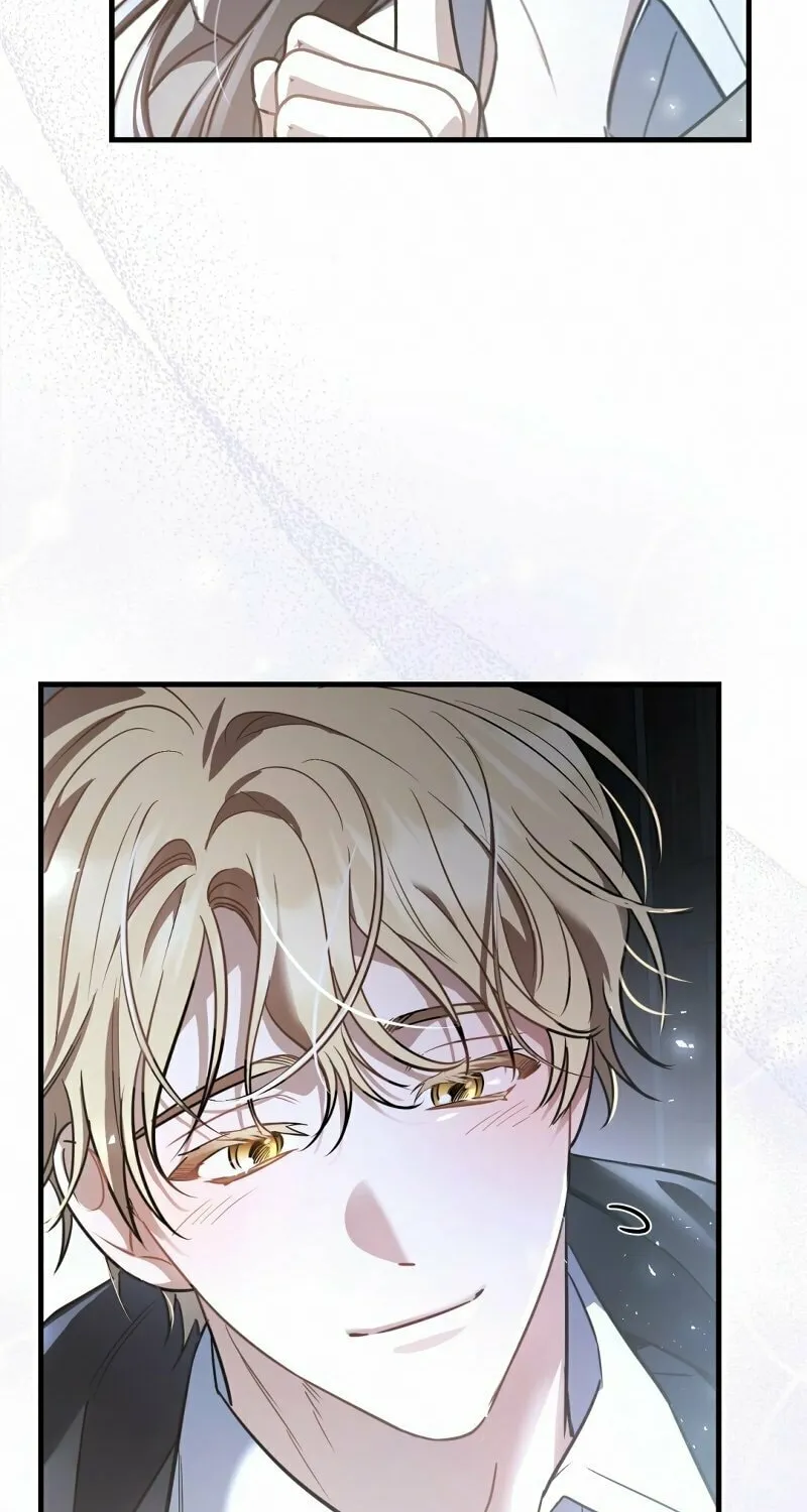 The Night Without Shadows Chapter 48 page 31 - 