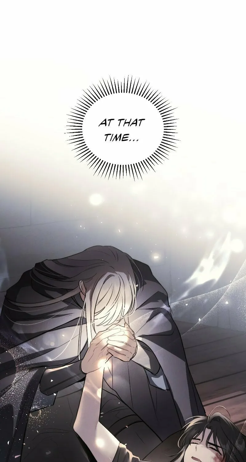 The Night Without Shadows Chapter 49 page 44 - 