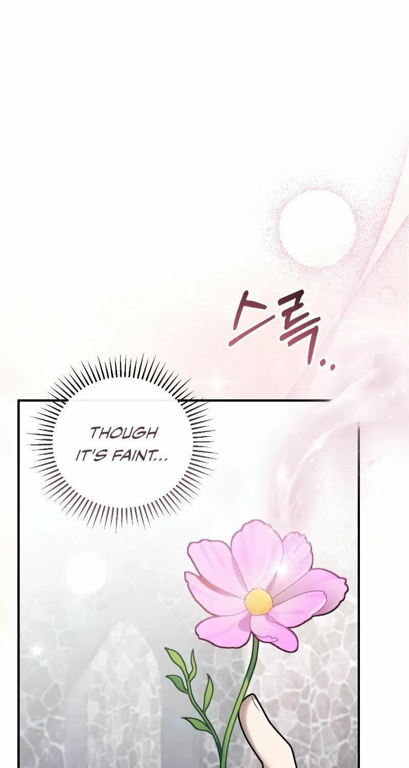 The Night Without Shadows Chapter 49 page 88 - 