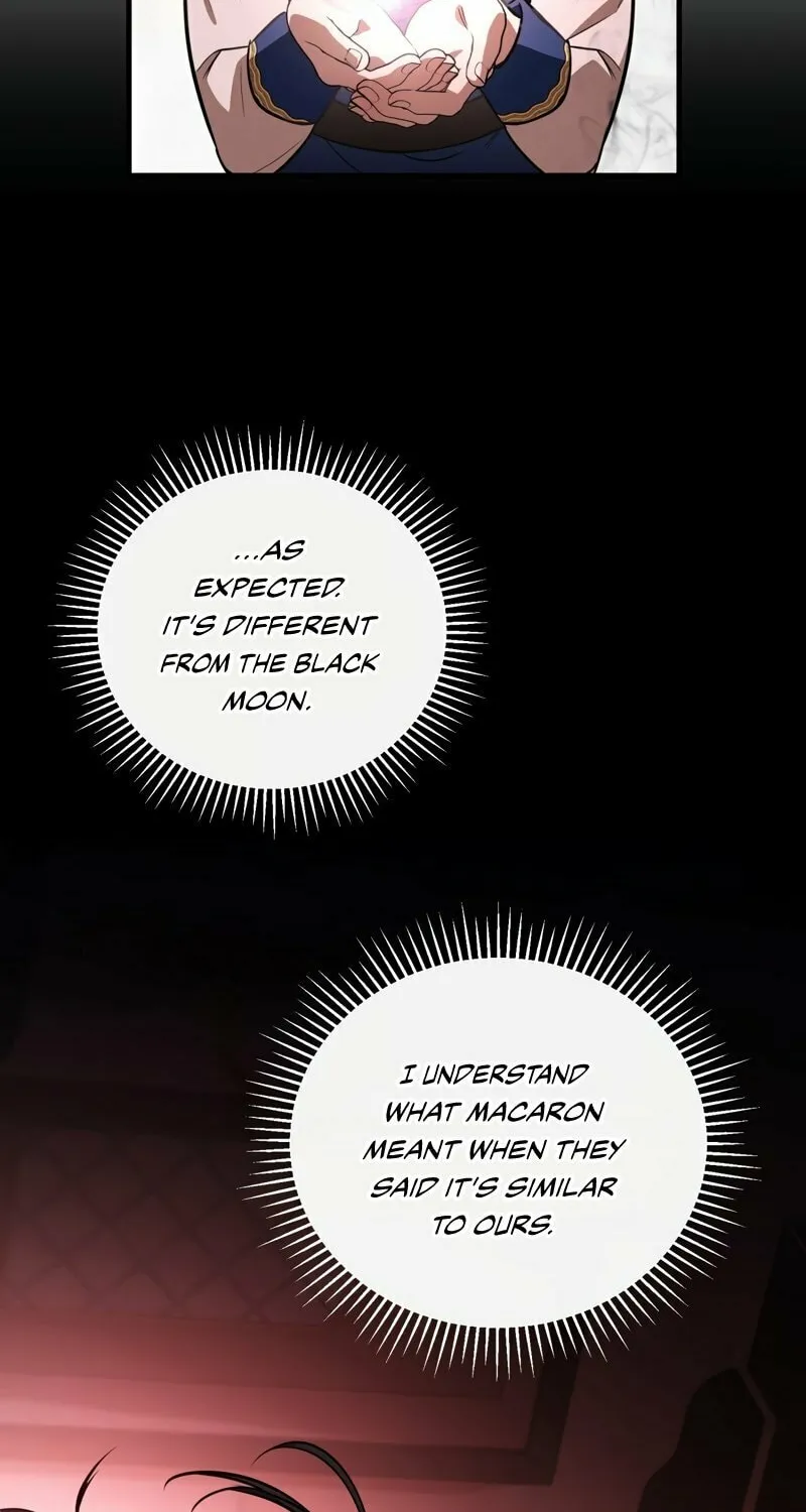The Night Without Shadows Chapter 50 page 47 - 