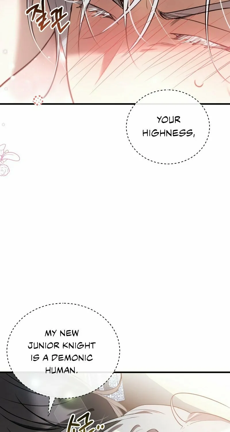 The Night Without Shadows Chapter 51 page 79 - 