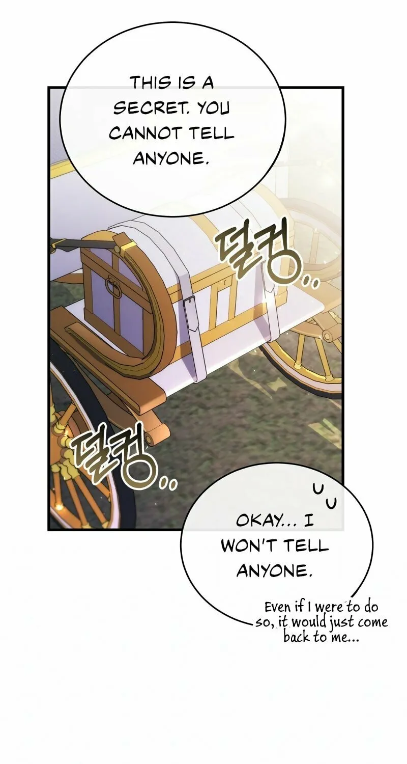 The Night Without Shadows Chapter 51 page 82 - 