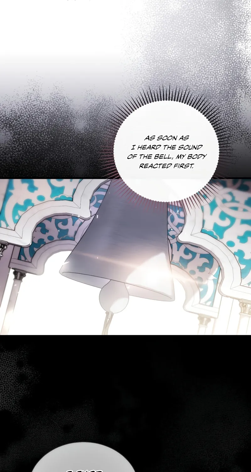 The Night Without Shadows Chapter 52 page 12 - 