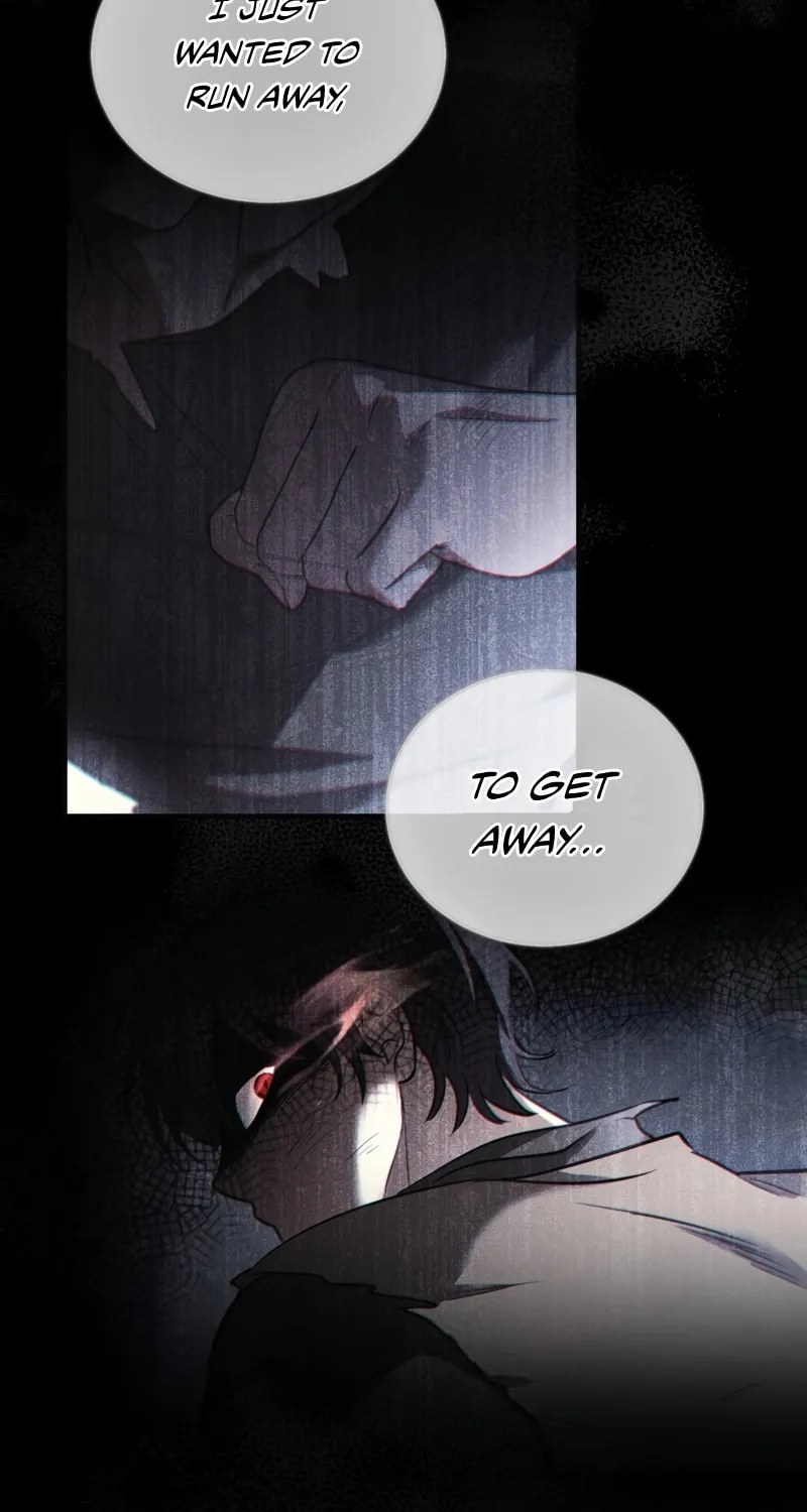 The Night Without Shadows Chapter 52 page 13 - 