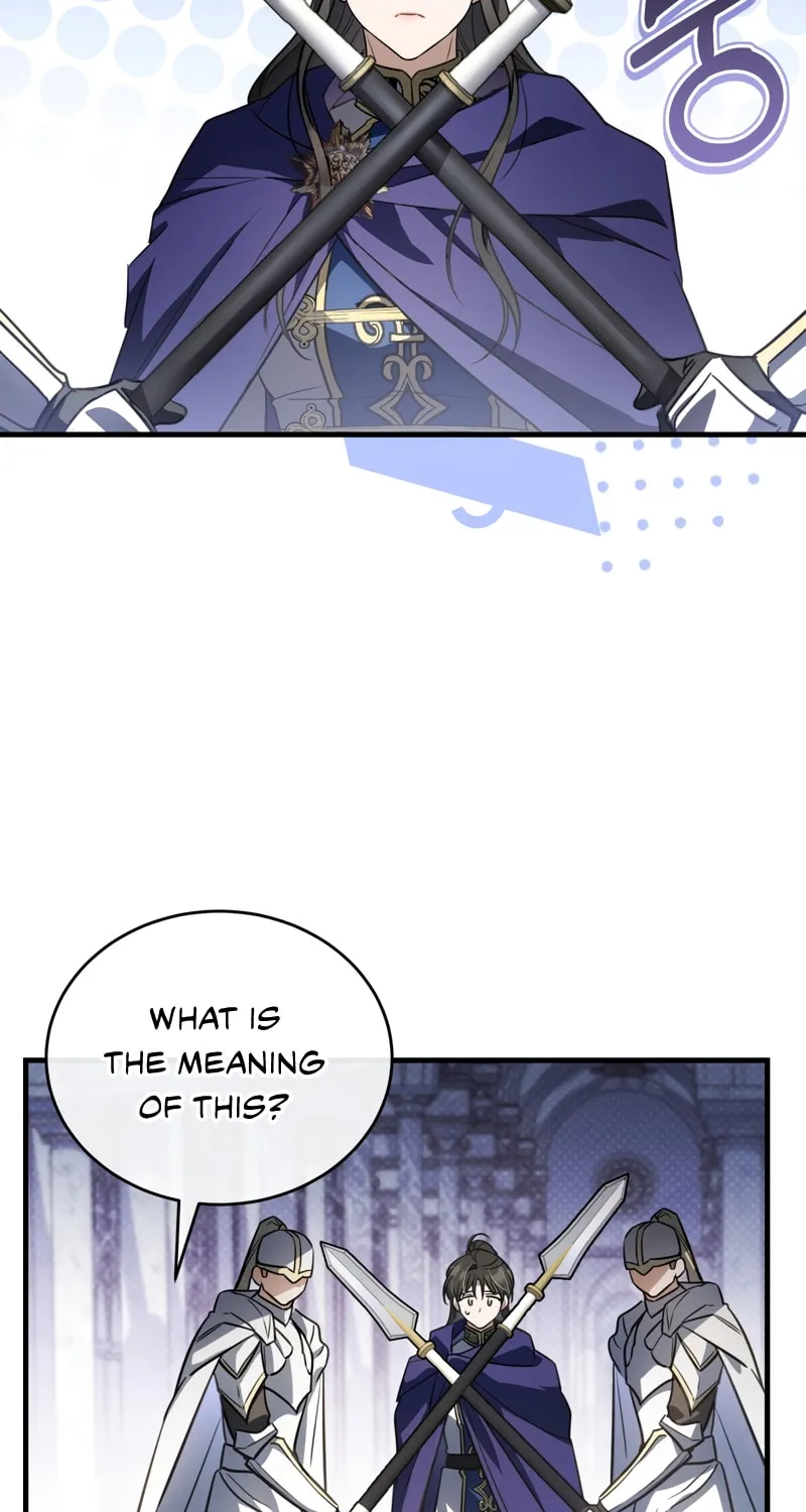 The Night Without Shadows Chapter 52 page 27 - 