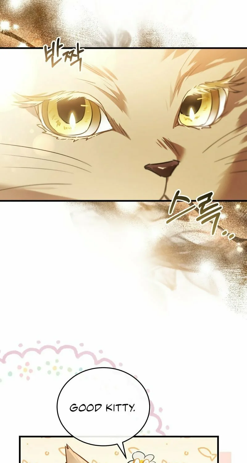 The Night Without Shadows Chapter 54 page 40 - 