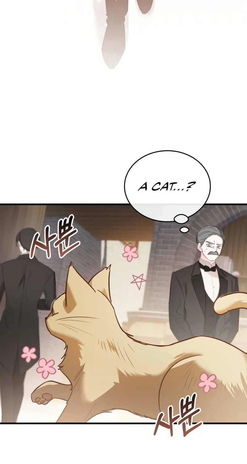 The Night Without Shadows Chapter 55 page 49 - 
