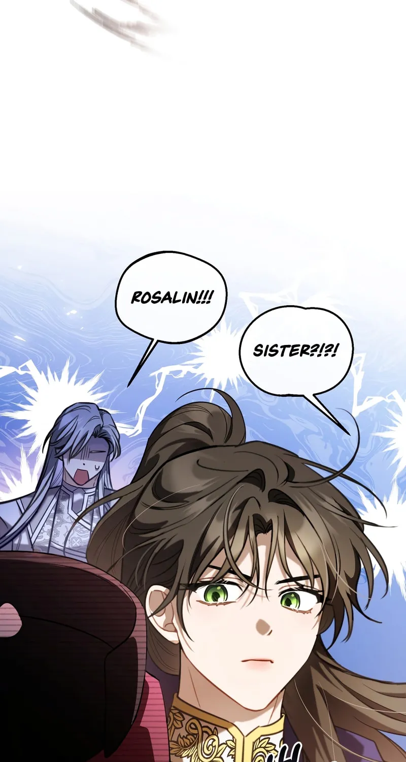 The Night Without Shadows Chapter 59 page 29 - 