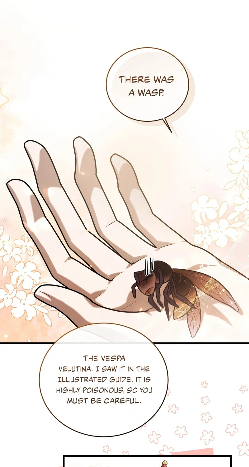 The Night Without Shadows Chapter 59 page 32 - 