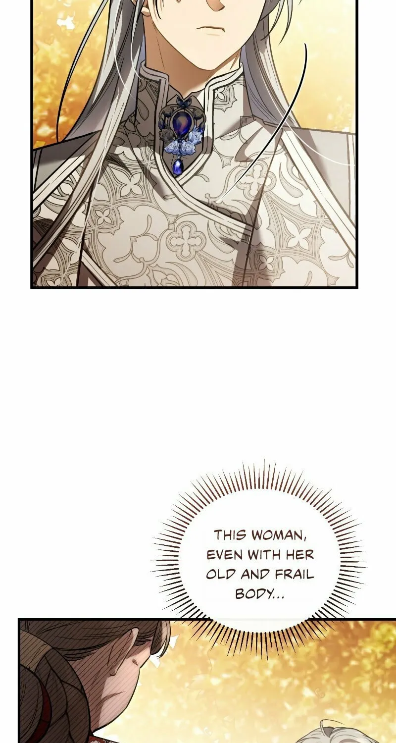 The Night Without Shadows Chapter 60 page 41 - 