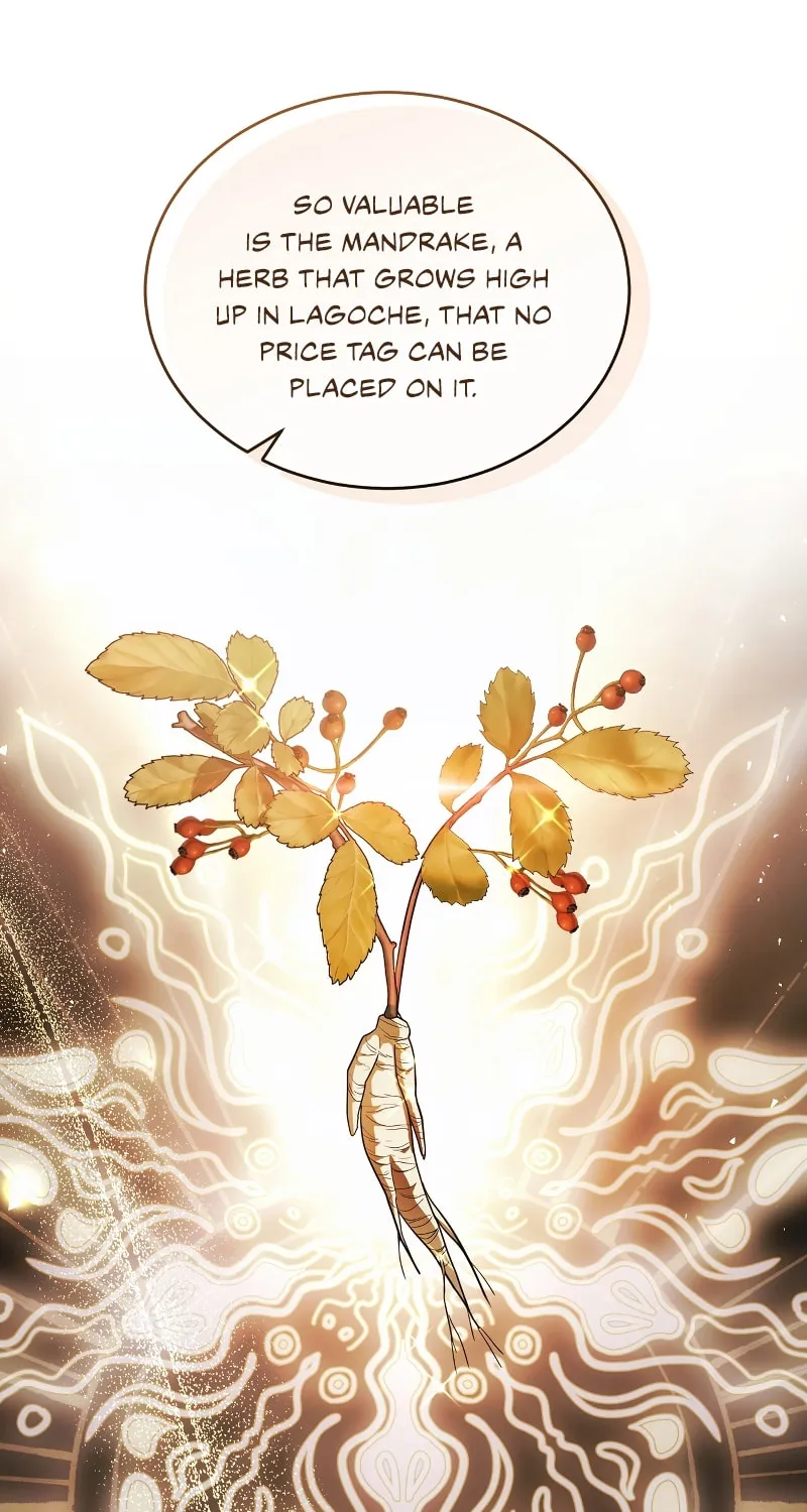 The Night Without Shadows Chapter 62 page 25 - 