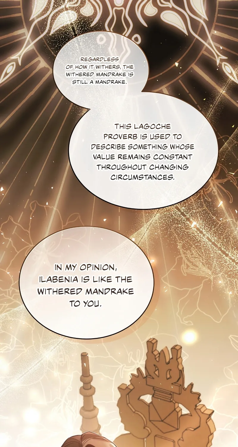 The Night Without Shadows Chapter 62 page 26 - 