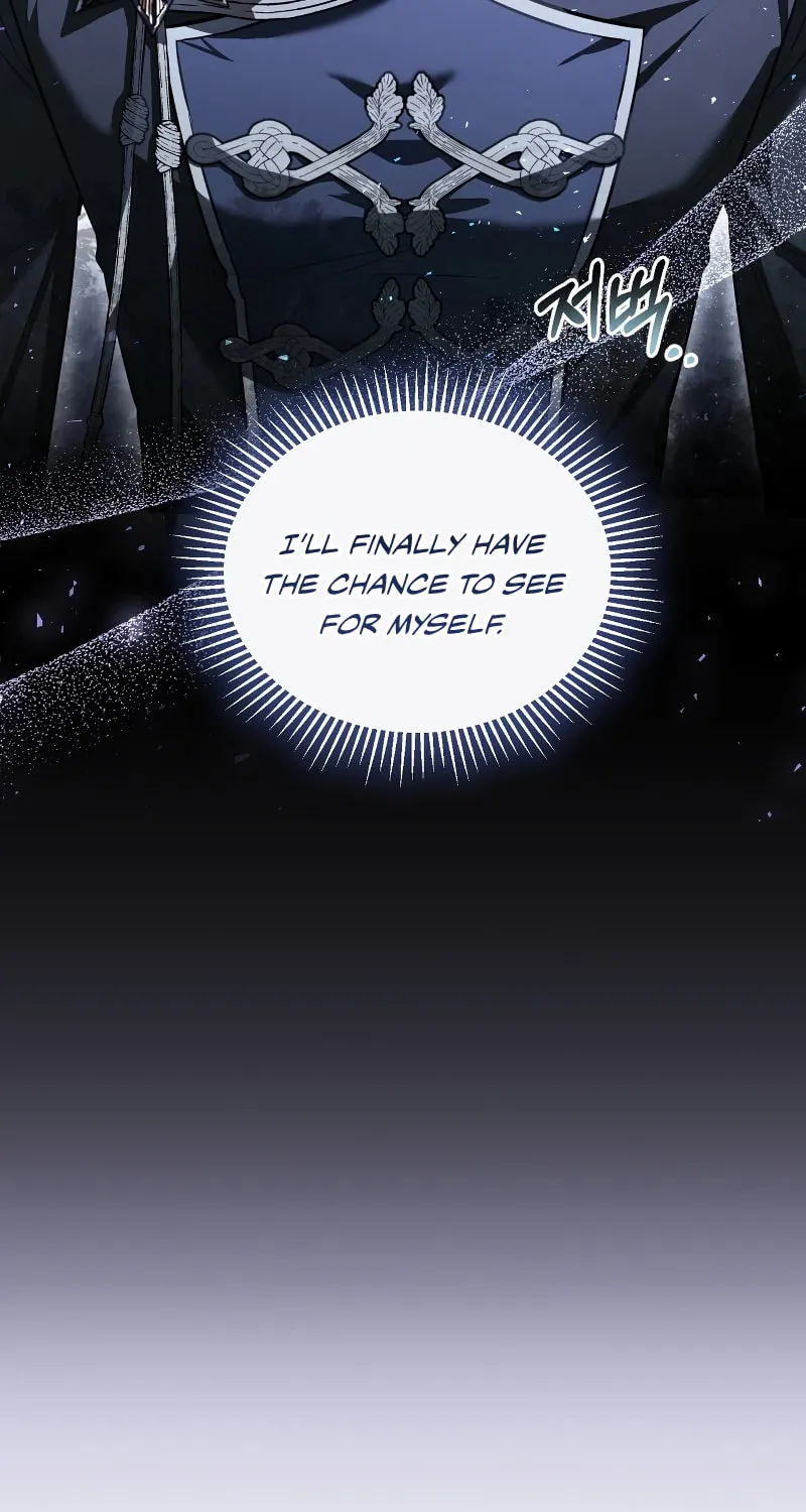 The Night Without Shadows Chapter 63 page 14 - 