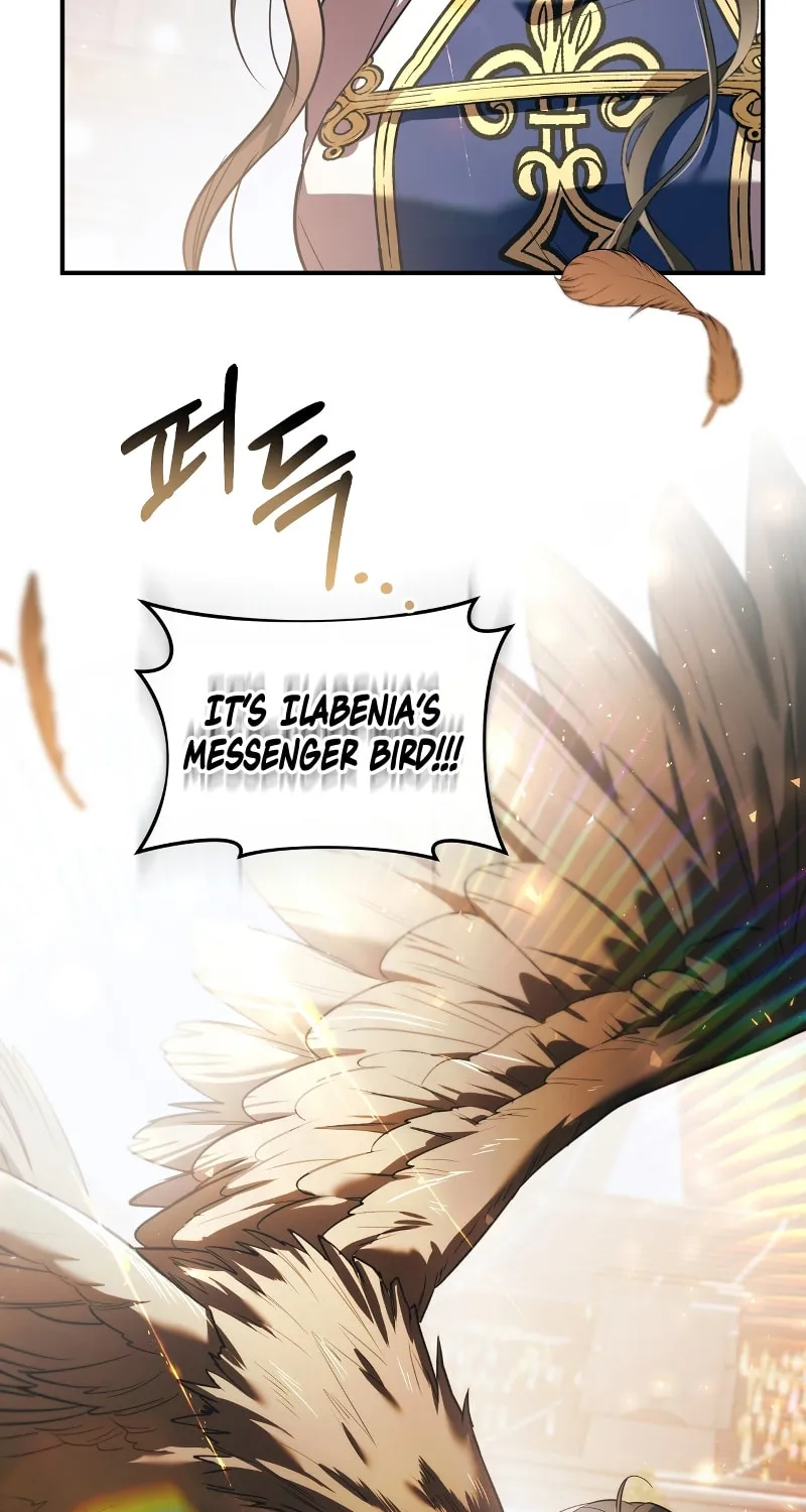The Night Without Shadows Chapter 63 page 72 - 