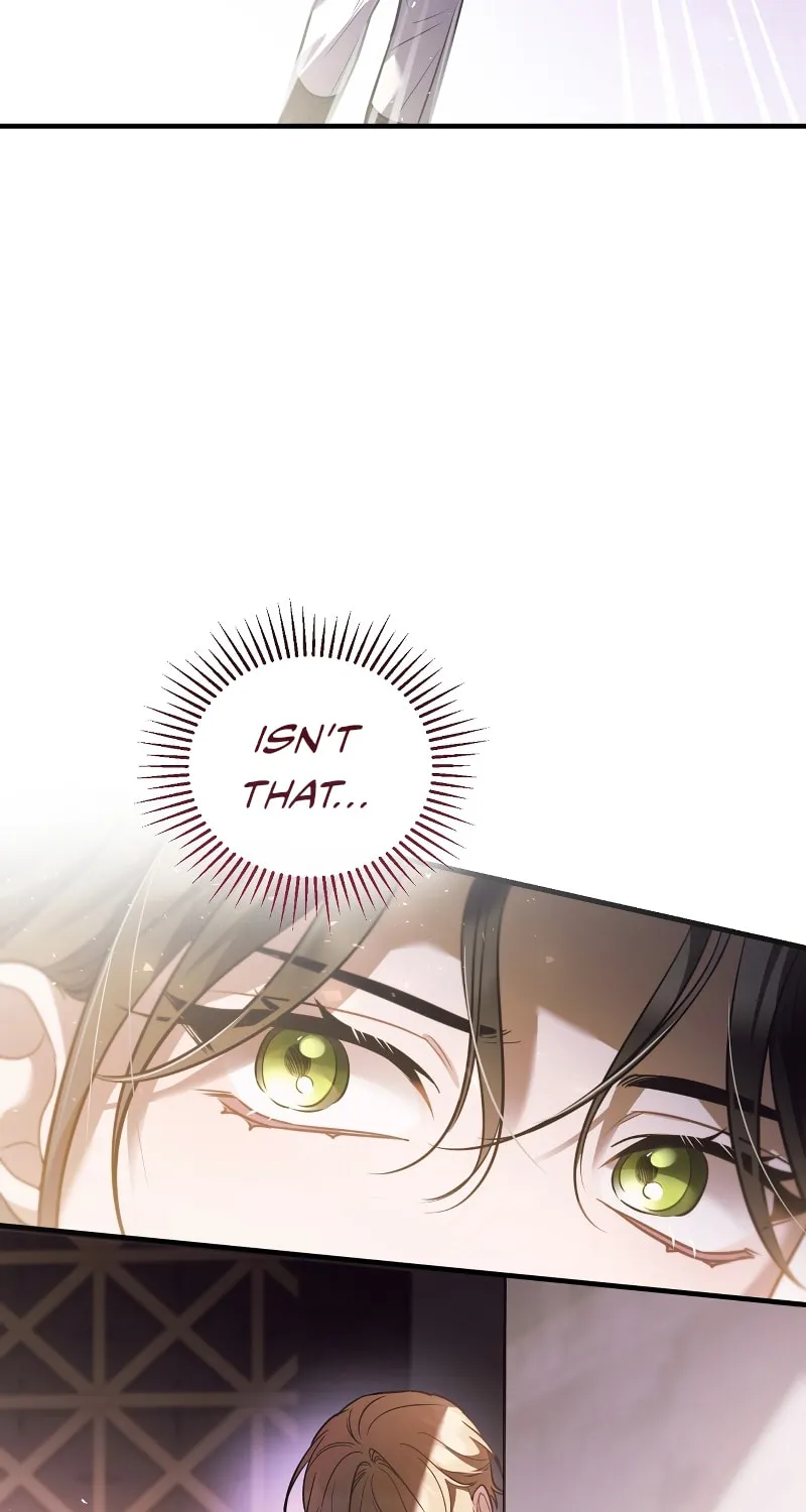 The Night Without Shadows Chapter 63 page 77 - 
