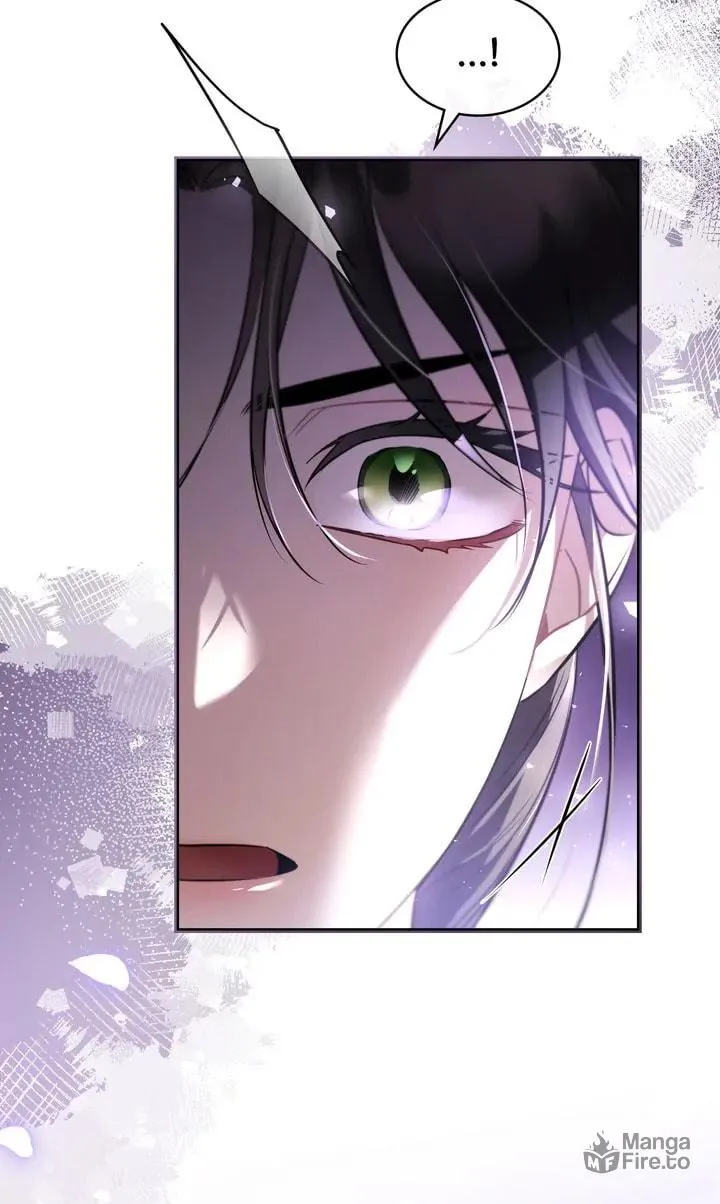 The Night Without Shadows Chapter 65 page 85 - 