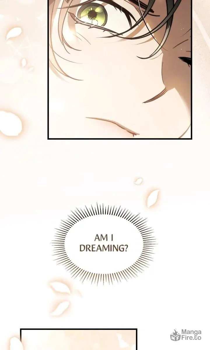 The Night Without Shadows Chapter 68 page 3 - 