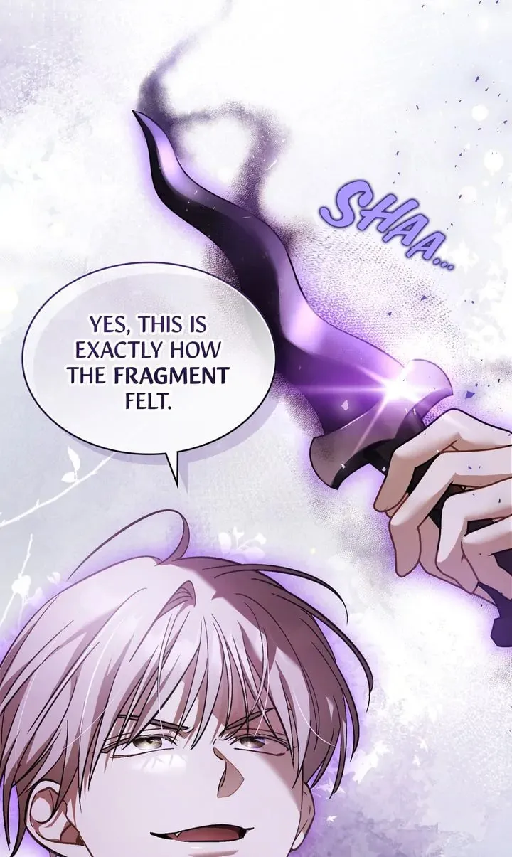 The Night Without Shadows Chapter 69 page 17 - 
