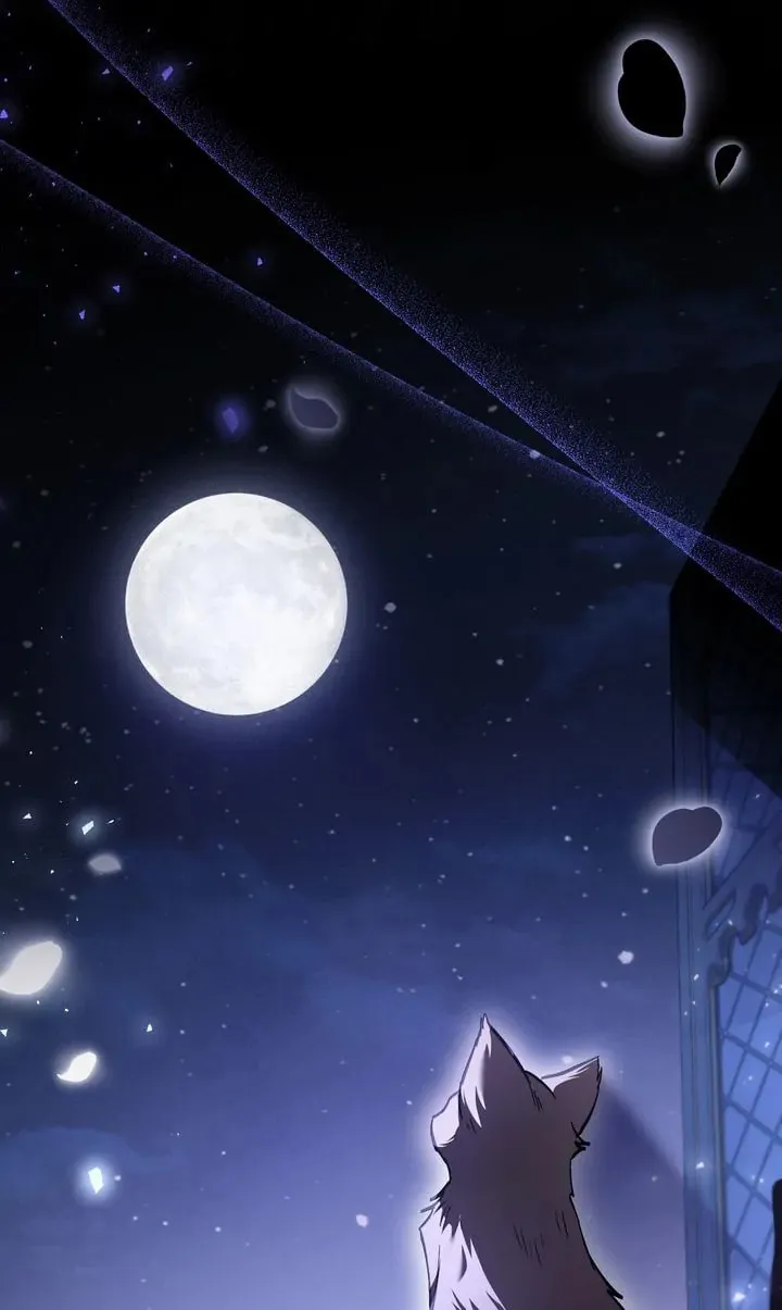 The Night Without Shadows Chapter 69 page 46 - 