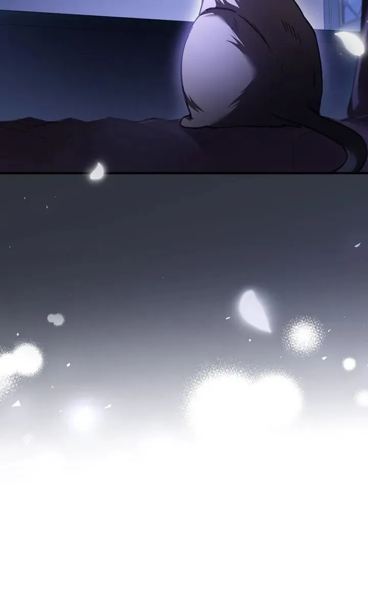 The Night Without Shadows Chapter 69 page 47 - 