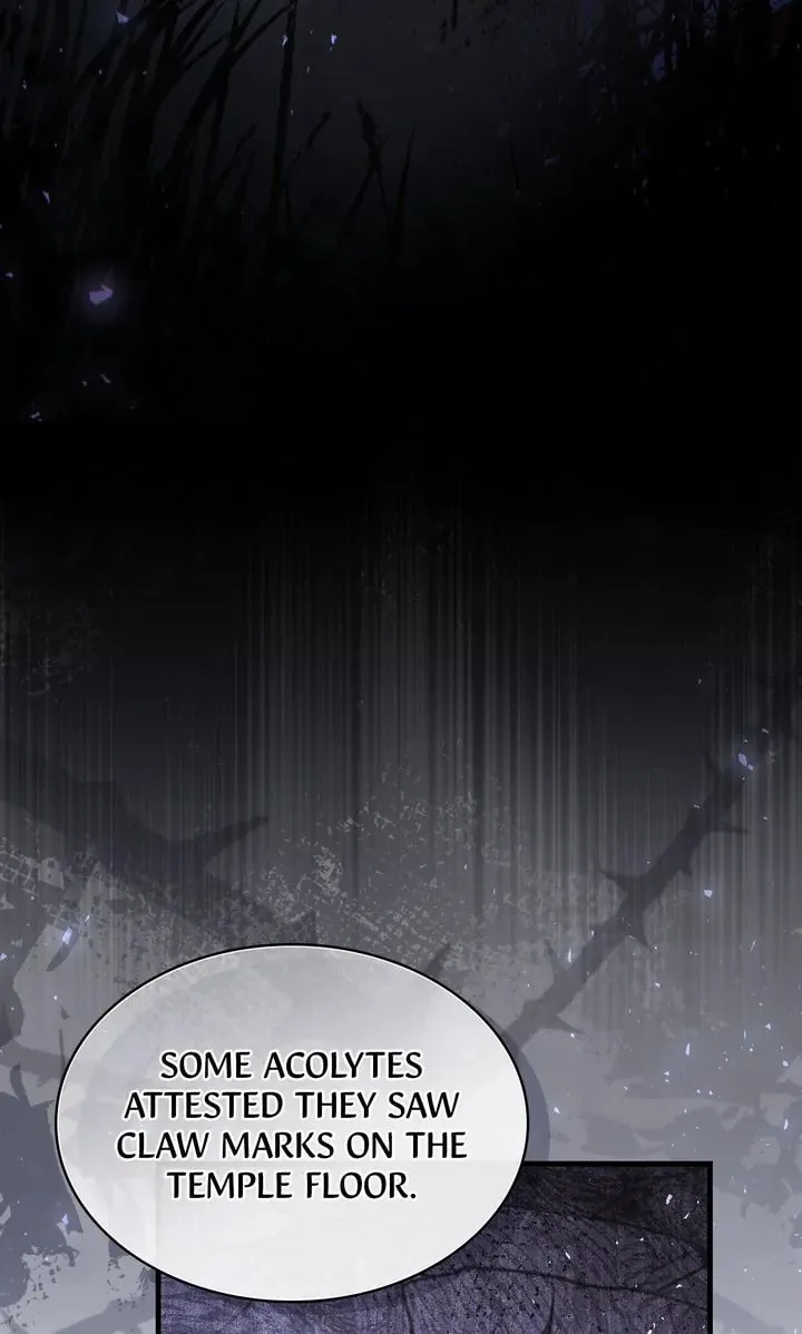 The Night Without Shadows Chapter 73 page 2 - 