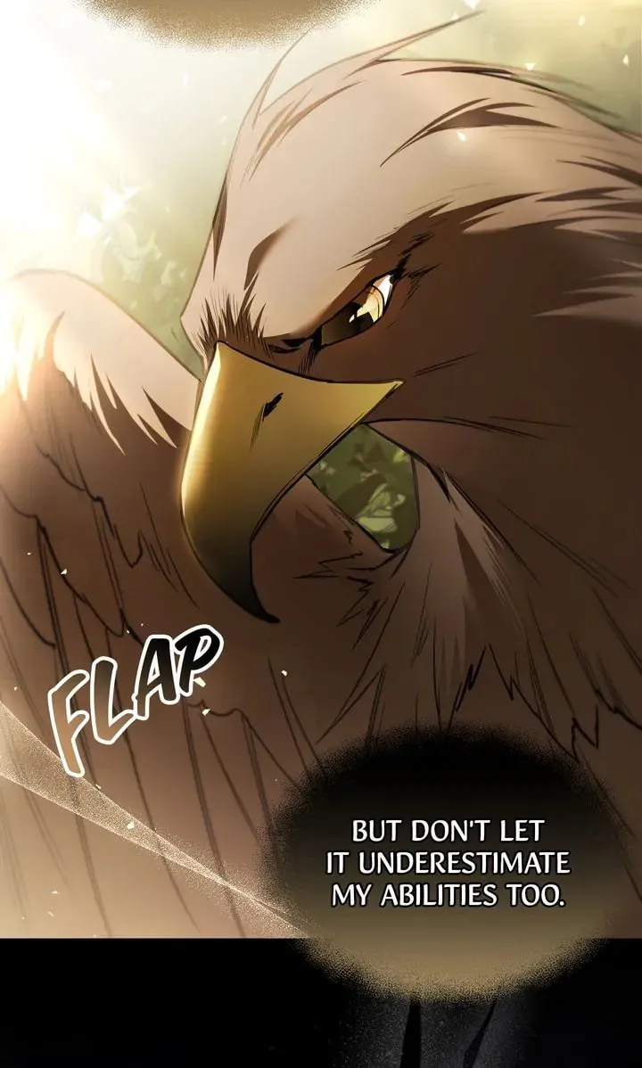 The Night Without Shadows Chapter 73 page 47 - 
