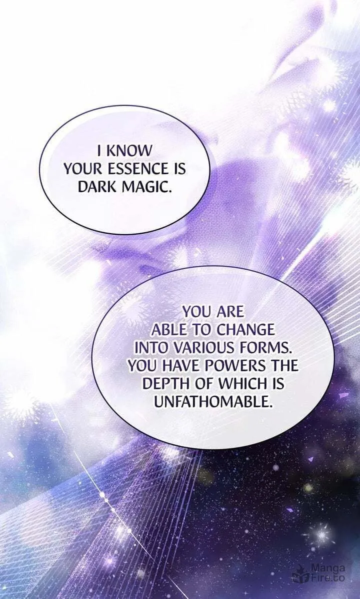 The Night Without Shadows Chapter 75 page 39 - 