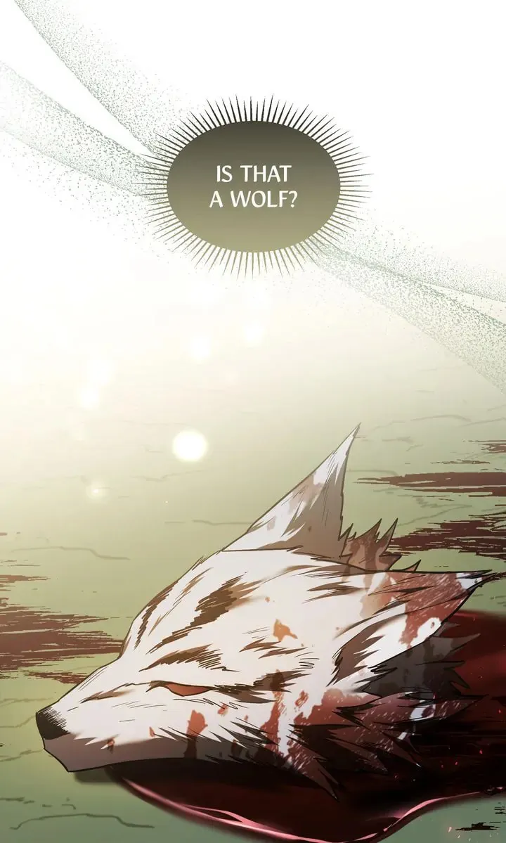 The Night Without Shadows Chapter 76 page 22 - 