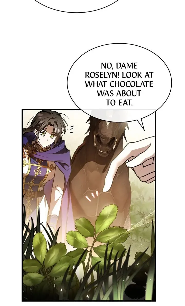 The Night Without Shadows Chapter 77 page 23 - 