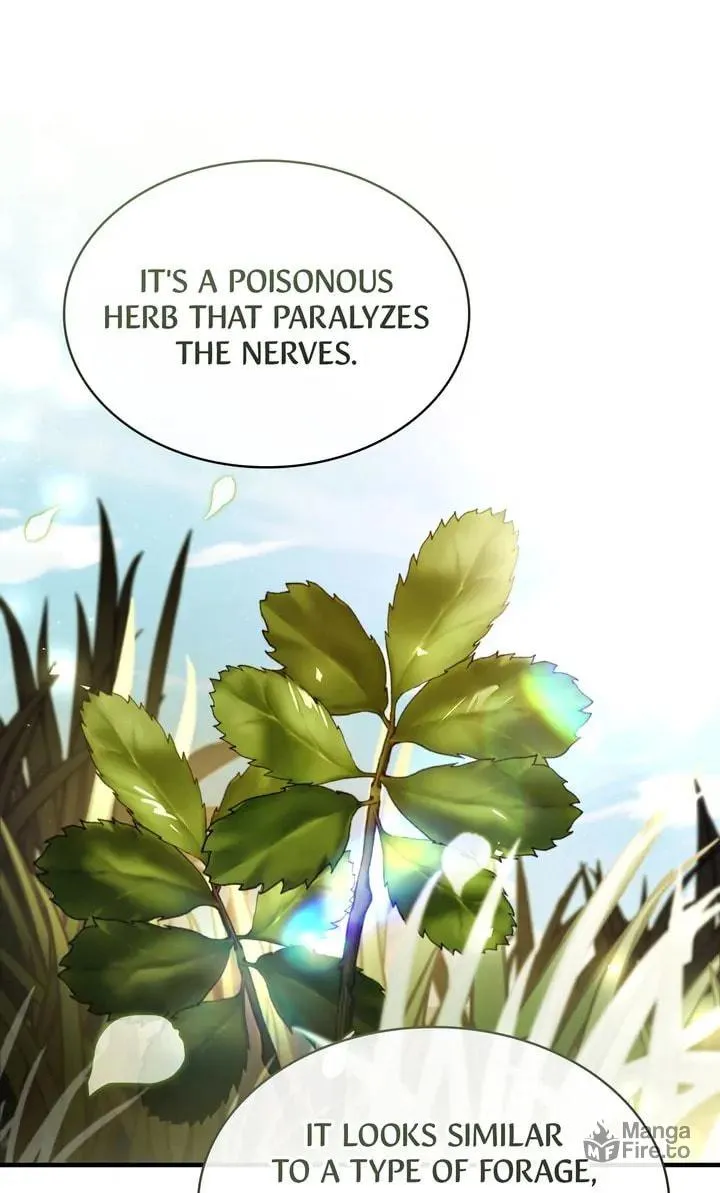 The Night Without Shadows Chapter 77 page 24 - 
