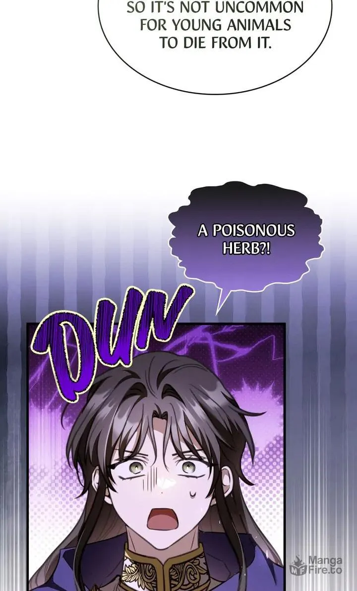 The Night Without Shadows Chapter 77 page 25 - 