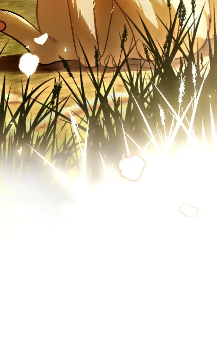 The Night Without Shadows Chapter 78 page 13 - 